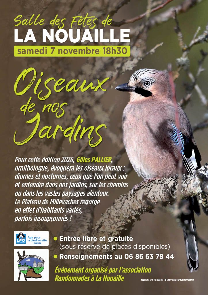 Oiseaux de nos Jardins