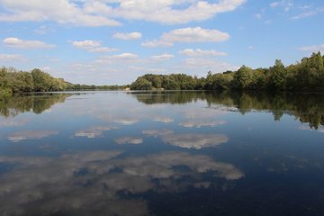 Visite hors-les-murs : les oiseaux migrateurs