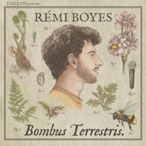 REMI BOYES
