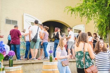 Portes ouvertes en Madiran, au château de Diusse