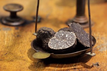 MARCHÉ AUX TRUFFES