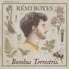 Rémi Boyes - Bombus Terrestris - Tournée