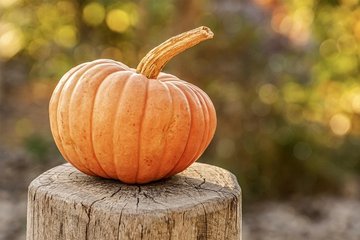 Escape game Halloween