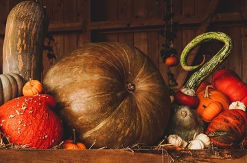22ème édition | saveurs d'automne