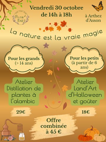 Ateliers nature parents (distillation) - enfants (land'art Halloween)