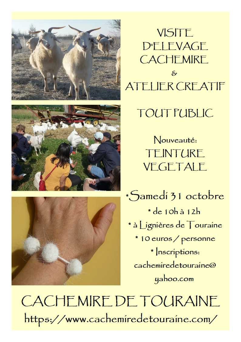 Visite pédagogique Cachemire et atelier créatif