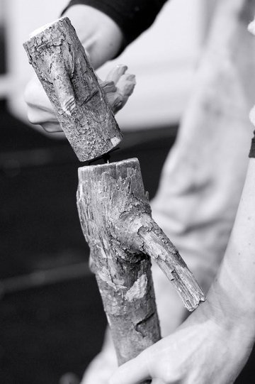 L'homme qui plantait des arbres