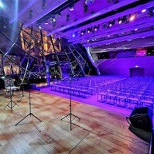 Le Violon Diva, Concert du Nouvel An à la Tour Eiffel