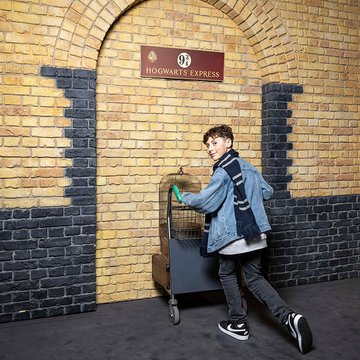 Harry Potter™ : L’Exposition