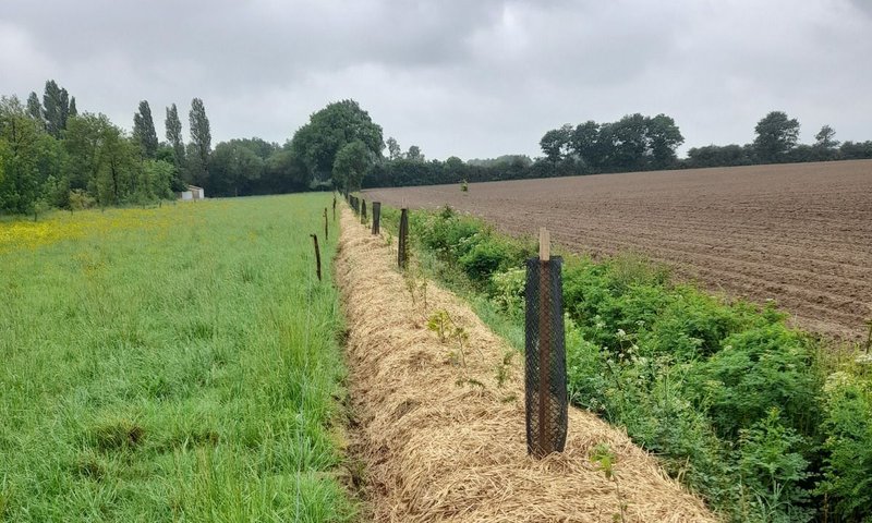 Démonstrations de plantations et bilan 2026
