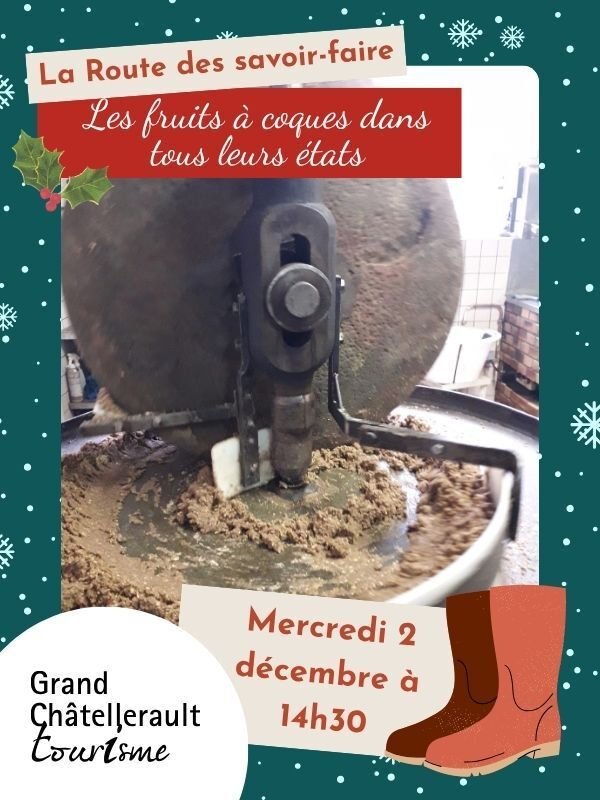 Les fruits à coques dans tous leurs états