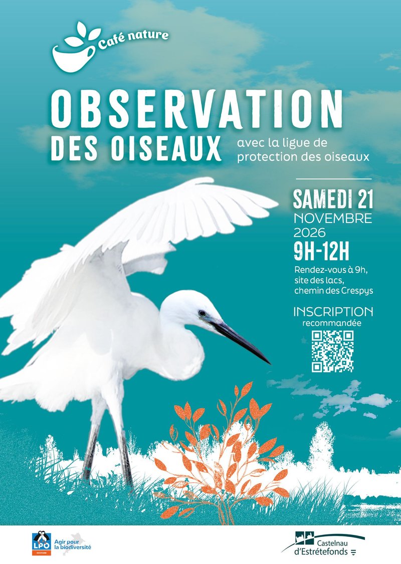 Observation des oiseaux avec la ligue de protection des oiseaux