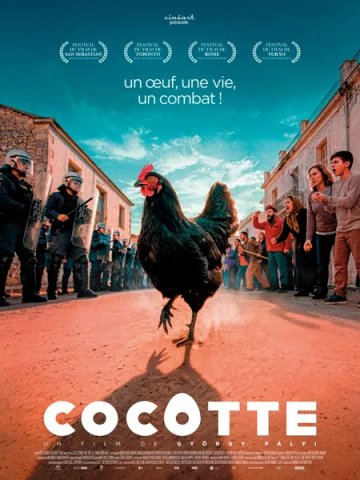 Soirée Ciné-Club : Cocotte