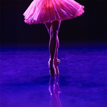 Ballet of Lights : La Belle au bois dormant dans un spectacle étincelant