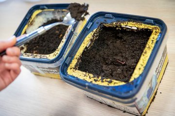 Fabrication d'un lombricompost avec Au Ras du Sol