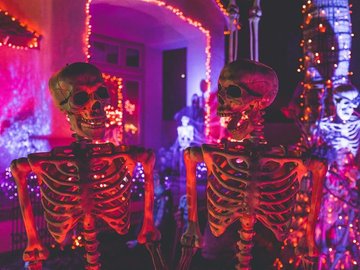 Halloween Party Night