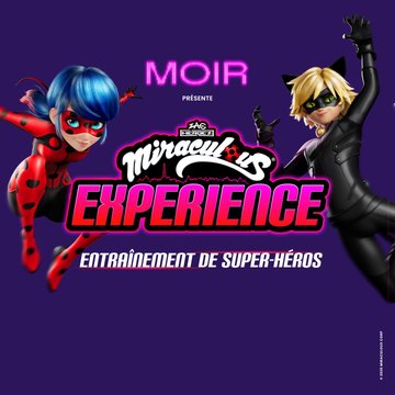 Miraculous Experience : entraînement de Super-Héros au MOIR