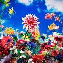 Mika Ninagawa with EIM - Billet Simple