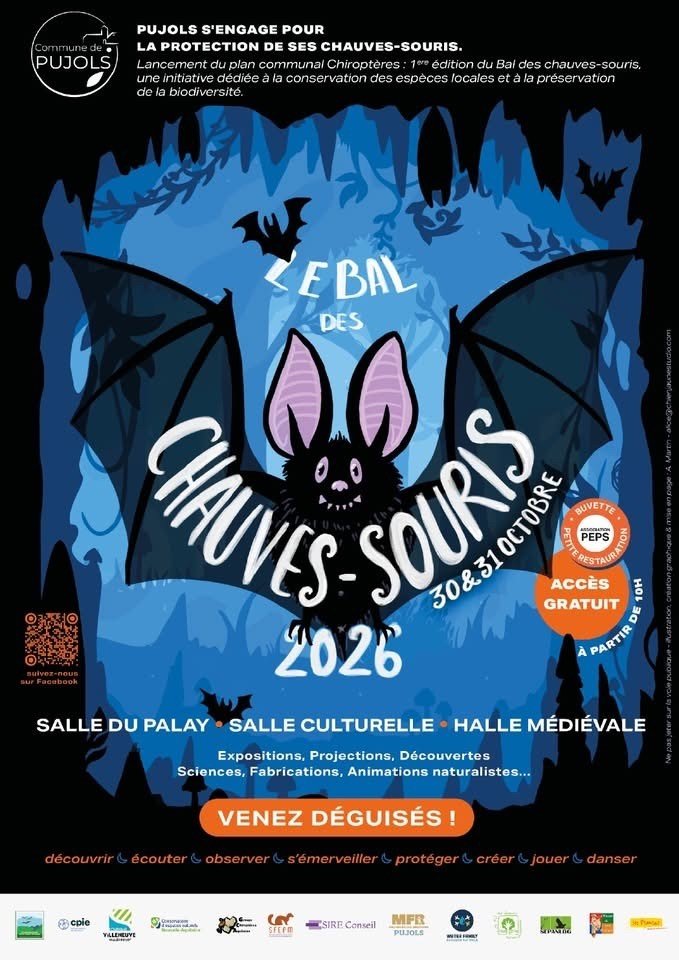 Le bal des chauves-souris