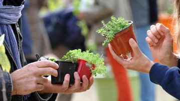 Troc aux plantes