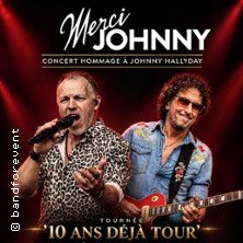 Merci Johnny - Concert Hommage à Johnny Hallyday