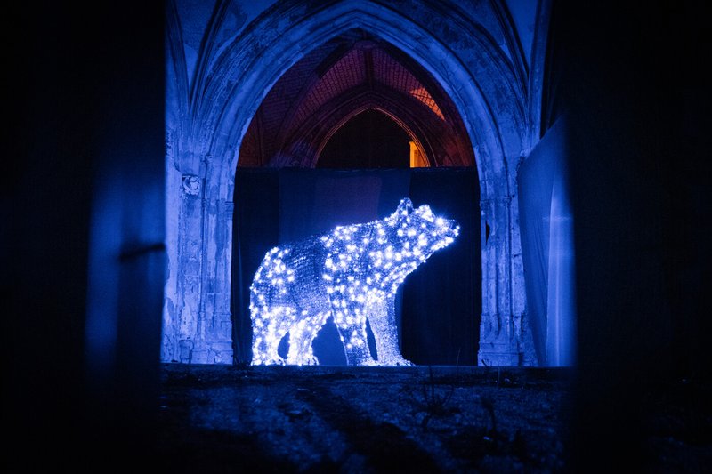 Les Nuits Lumière d'Hiver