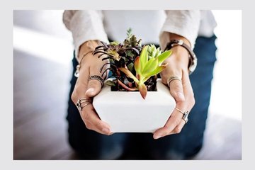 Troc de plantes