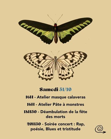 Dépretival Pur Chagrin J3