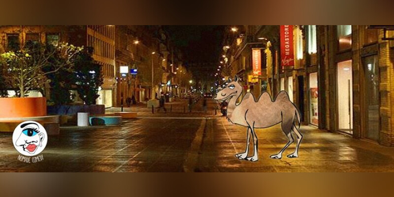 Drole De Couscous L Oasis 244 By Night Drole De Couscous L Oasis 244 By Night