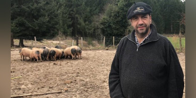 Rencontre & Dégustation avec les éleveurs de porcs cul noir