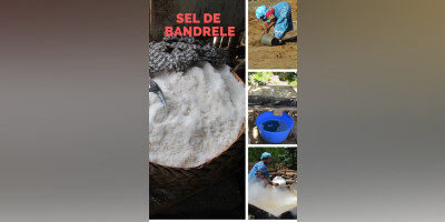 La fabrication du sel de Bandrélé : visite guidée