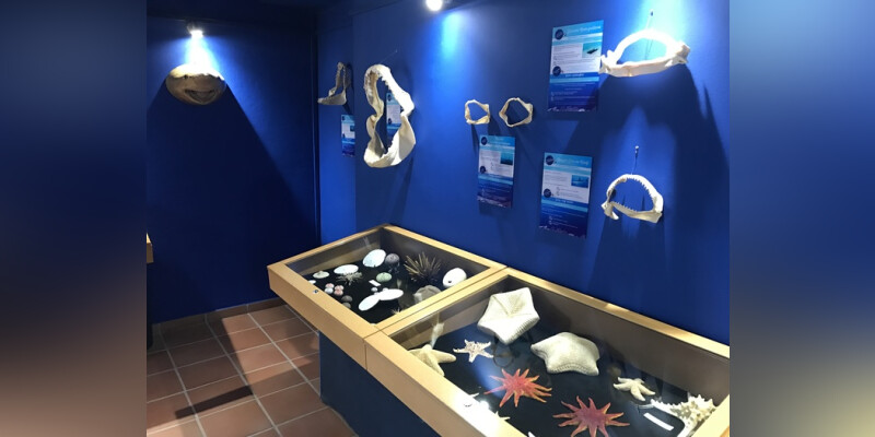 Les Trois-Ilets / Visite libre du musée de la Mer