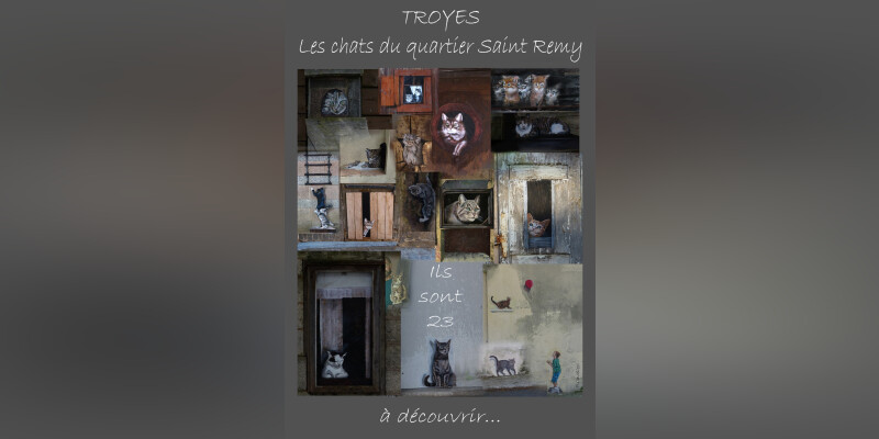 "Les chats de Troyes"