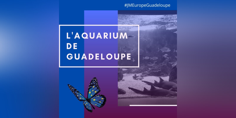 Aquarium de la Guadeloupe