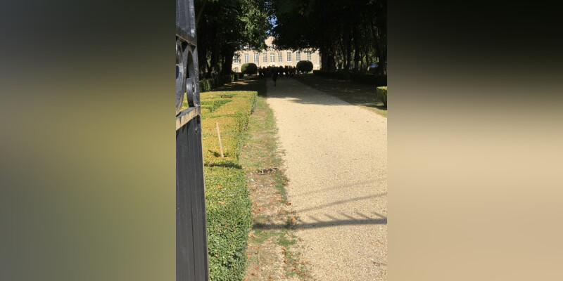 Visite guidée  du parc (site classé) du château de Quintefeuille