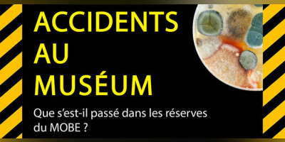 Accidents au Muséum - exposition