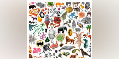 CONFÉRENCE / Effondrement de la biodiversité : pourquoi on a tout faux ?