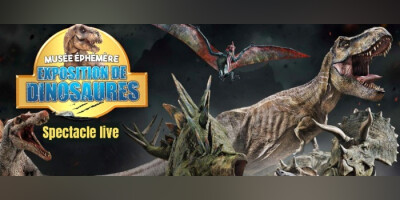 Le Musée Ephémère: Les dinosaures arrivent à Châlons en Champagne
