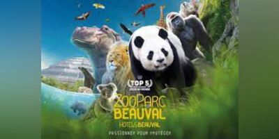 voyage  au  zoo de  Beauval