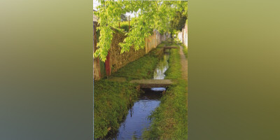 Balade commentée au fil de l'eau : le canal de la Martinette
