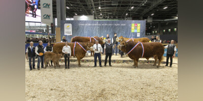 CONCOURS GENERAL AGRICOLE LIMOUSIN