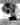 [RENCONTRE] Charley Harper, artiste engagé ! (avec Brett Harper)